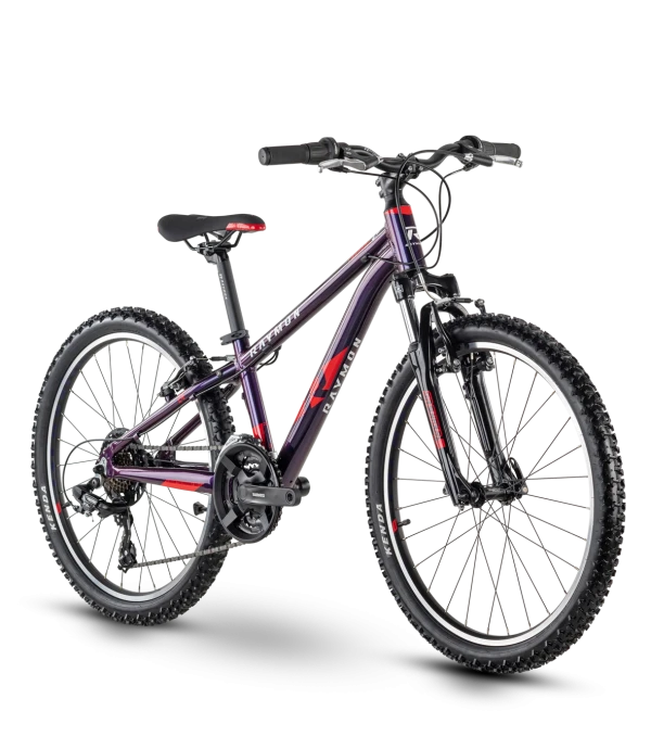 pho-bike-pers-revo-ray-21-fourray-10-purple-red-oblique-web-23sall-23aepi-23v1.png