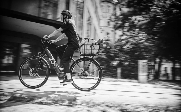 Vélo à assistance électrique vae